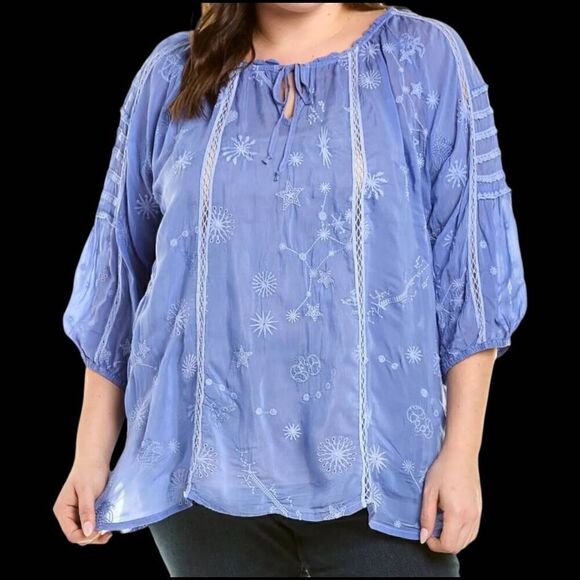 Johnny Was Celestin Neptune Blouse Top Womens SZ 2x Designer Cupra Rayon - Picture 1 of 9